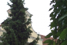 SZEME158-1