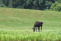 32-DSCF3753